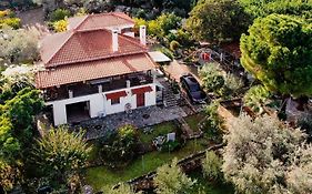 Villa Eirini With Sea View